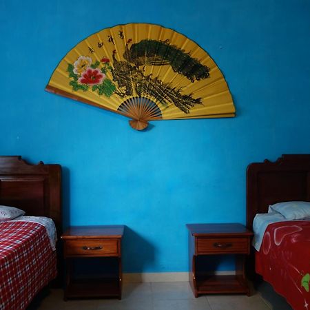 Hostal Tena Naui Exterior photo
