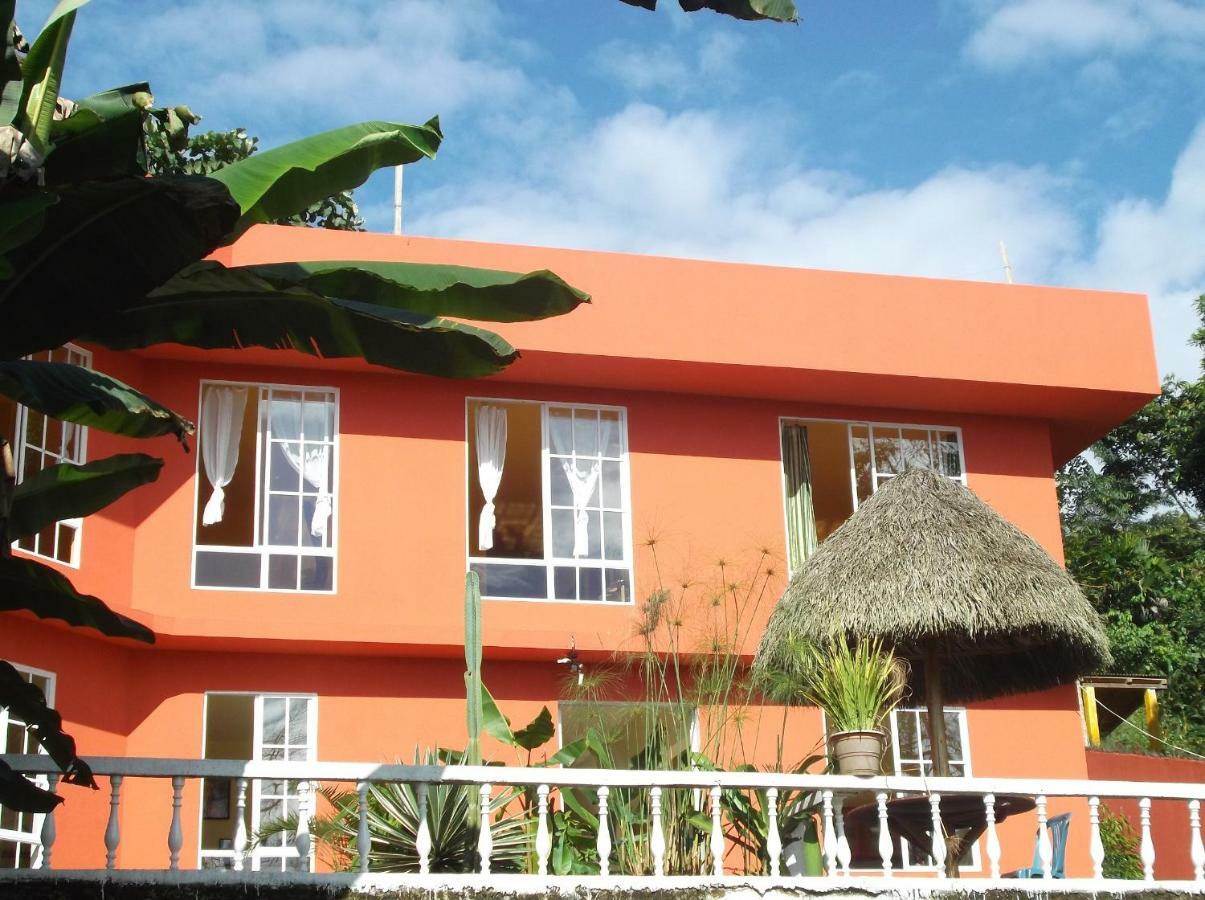 Hostal Tena Naui Exterior photo